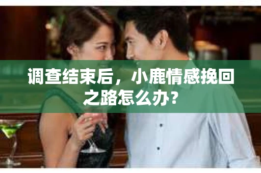 调查结束后，小鹿情感挽回之路怎么办？