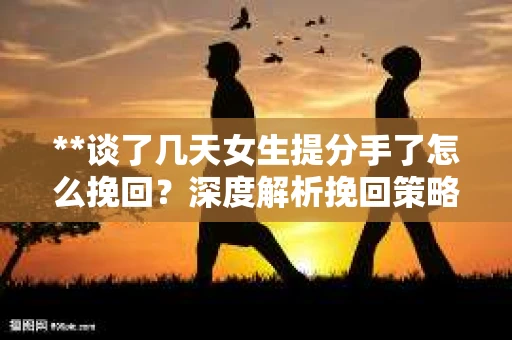 **谈了几天女生提分手了怎么挽回？深度解析挽回策略**
