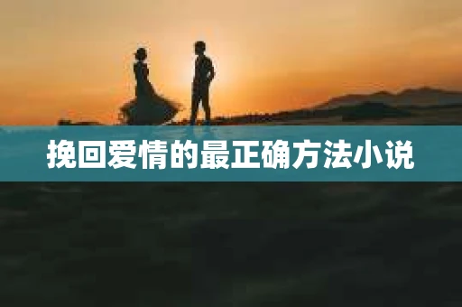 挽回爱情的最正确方法小说