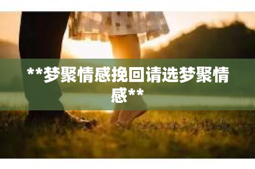 **梦聚情感挽回请选梦聚情感**