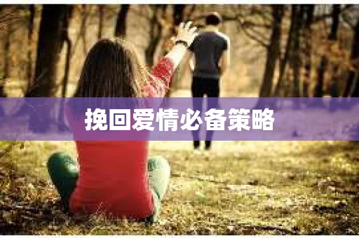 挽回爱情必备策略