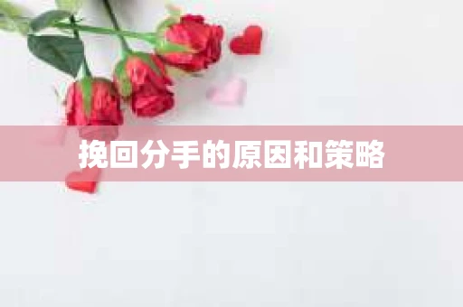 挽回分手的原因和策略