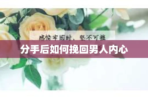分手后如何挽回男人内心