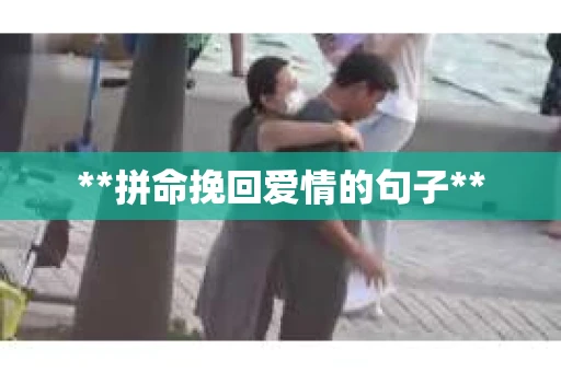 **拼命挽回爱情的句子**