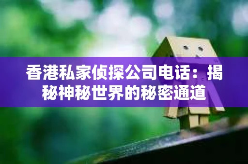 香港私家侦探公司电话：揭秘神秘世界的秘密通道