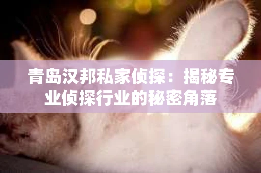 青岛汉邦私家侦探：揭秘专业侦探行业的秘密角落