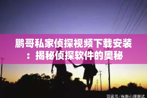 鹏哥私家侦探视频下载安装：揭秘侦探软件的奥秘
