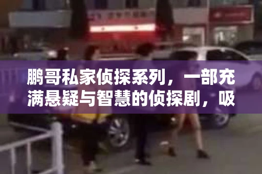 鹏哥私家侦探系列，一部充满悬疑与智慧的侦探剧，吸引了无数观众的眼球。今天，就让我带你走进这个充满神秘色彩的侦探世界，一起在线观看鹏哥私家侦探系列，感受那扣人心弦的故事情节。