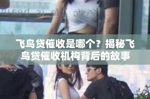 飞鸟贷催收是哪个？揭秘飞鸟贷催收机构背后的故事