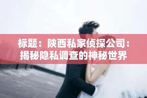 标题：陕西私家侦探公司：揭秘隐私调查的神秘世界