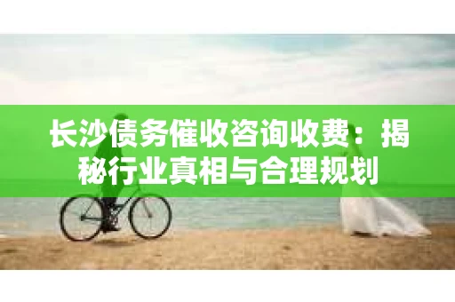 长沙债务催收咨询收费：揭秘行业真相与合理规划
