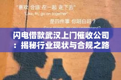 闪电借款武汉上门催收公司：揭秘行业现状与合规之路