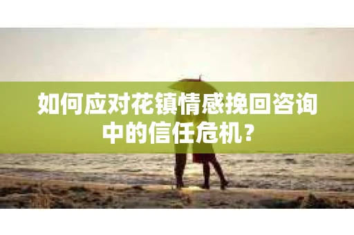 如何应对花镇情感挽回咨询中的信任危机？