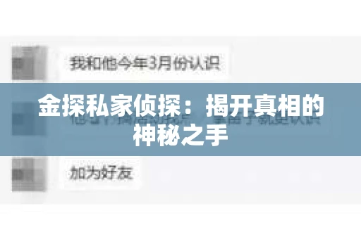金探私家侦探：揭开真相的神秘之手