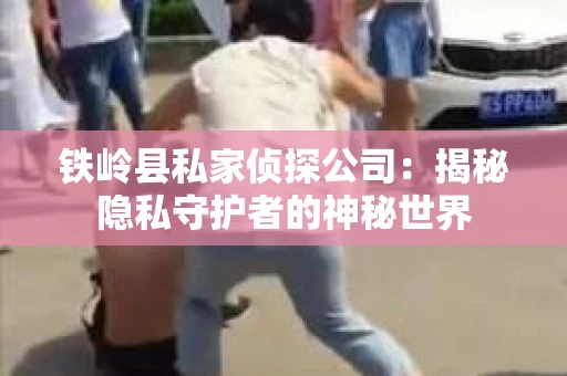 铁岭县私家侦探公司：揭秘隐私守护者的神秘世界
