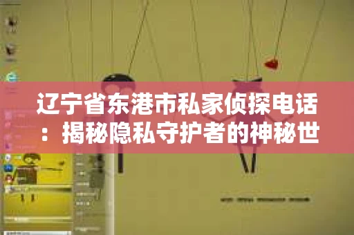 辽宁省东港市私家侦探电话：揭秘隐私守护者的神秘世界