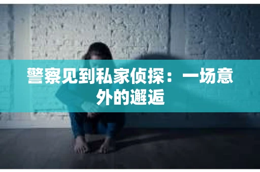 警察见到私家侦探：一场意外的邂逅