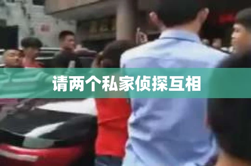 请两个私家侦探互相