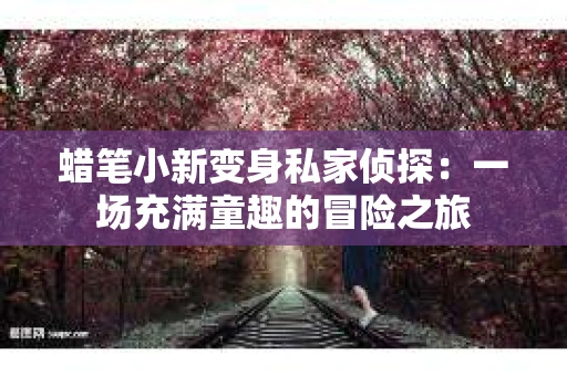 蜡笔小新变身私家侦探：一场充满童趣的冒险之旅