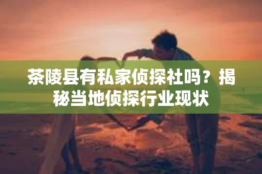 茶陵县有私家侦探社吗？揭秘当地侦探行业现状