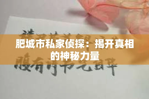 肥城市私家侦探：揭开真相的神秘力量