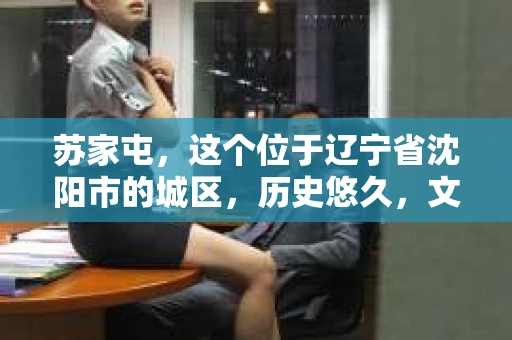 苏家屯，这个位于辽宁省沈阳市的城区，历史悠久，文化底蕴深厚。近年来，随着社会的发展，人们对于私家侦探的需求也逐渐增加。那么，苏家屯有私家侦探吗？今天，我们就来聊聊这个话题。