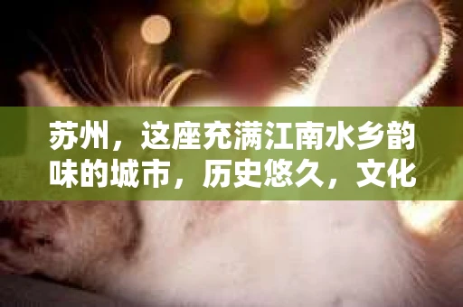苏州，这座充满江南水乡韵味的城市，历史悠久，文化底蕴深厚。在这样一个充满故事的地方，私家侦探公司自然也不少。那么，苏州哪有私家侦探公司呢？今天，我就来给大家盘点一下。