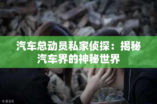 汽车总动员私家侦探：揭秘汽车界的神秘世界