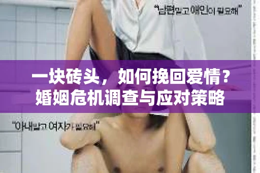 一块砖头，如何挽回爱情？婚姻危机调查与应对策略