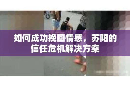 如何成功挽回情感，苏阳的信任危机解决方案