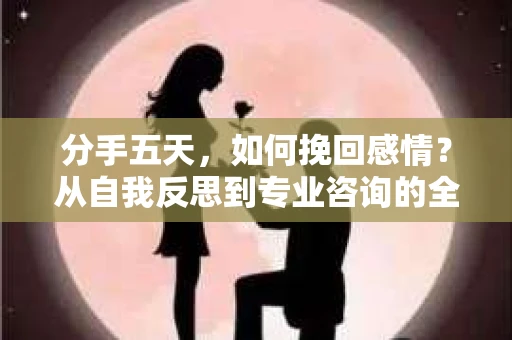 分手五天，如何挽回感情？从自我反思到专业咨询的全面解决方案
