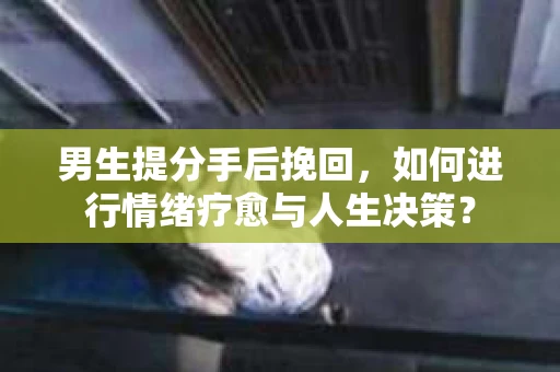 男生提分手后挽回，如何进行情绪疗愈与人生决策？