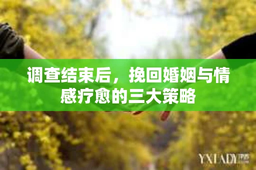 调查结束后，挽回婚姻与情感疗愈的三大策略