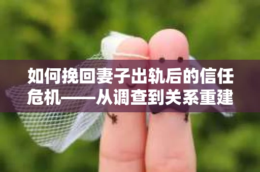 如何挽回妻子出轨后的信任危机——从调查到关系重建的全方位指南