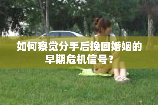 如何察觉分手后挽回婚姻的早期危机信号？
