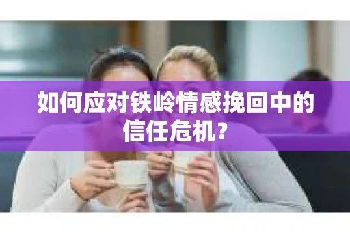 如何应对铁岭情感挽回中的信任危机？