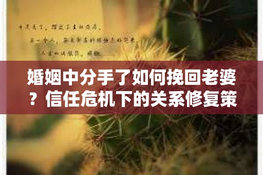 婚姻中分手了如何挽回老婆？信任危机下的关系修复策略